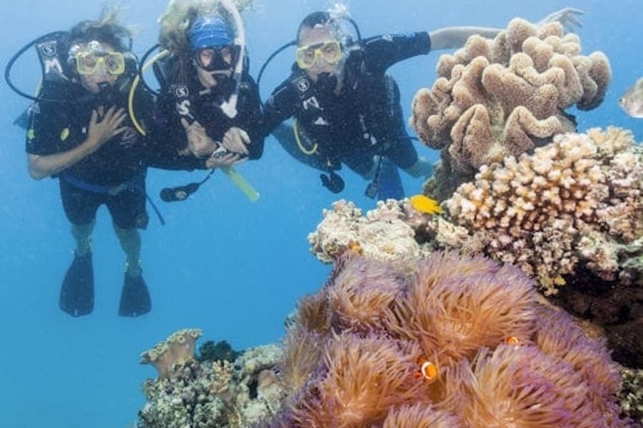 Tour Ocean Freedom à la Grande Barrière de Corail, Cairns