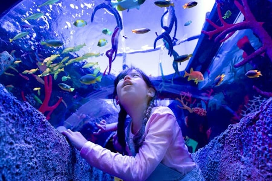 SEA LIFE Malaysia: Entry Ticket, Johor Bahru
