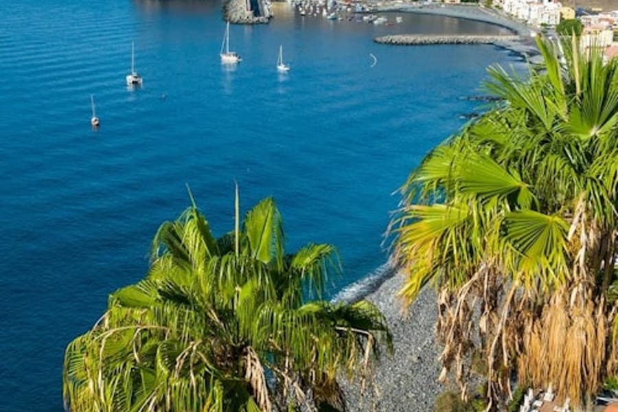 La Gomera: Guided Day Tour from Tenerife + Boat Ride + Lunch, at La Gomera Day Trips from Tenerife, San Sebastian De La Gomera