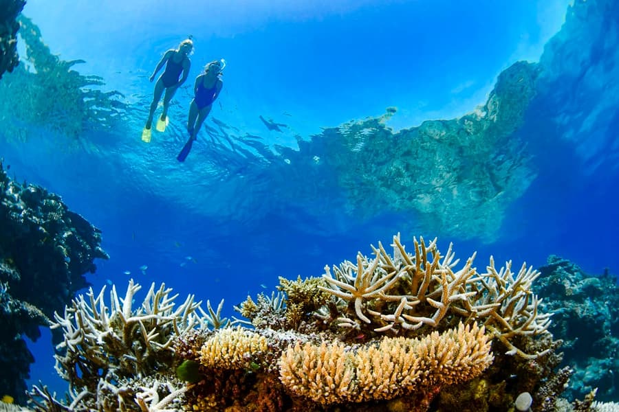 Airlie Beach: Whitsunday Islands Sail, SUP & Snorkel Premium Cruise with Lunch, at Coral Sea Marina, Whitsundays
