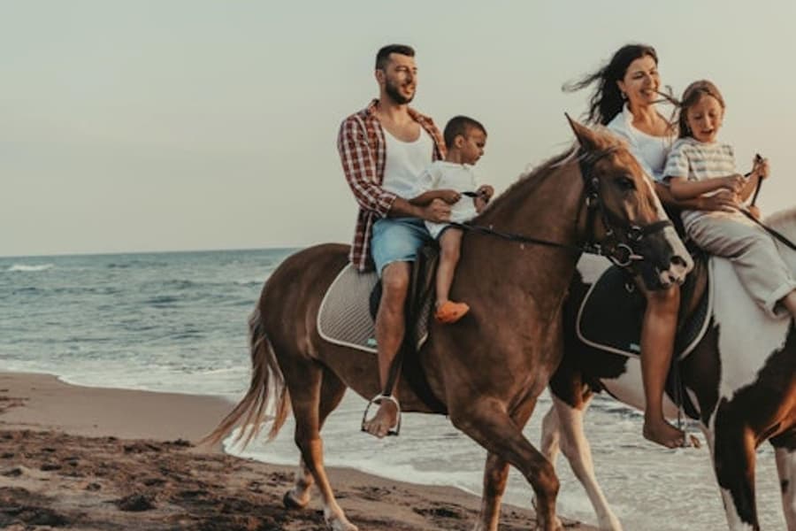 Tur Menunggang Kuda: Laut dan Gurun dengan Transportasi - Hurghada, Hurghada