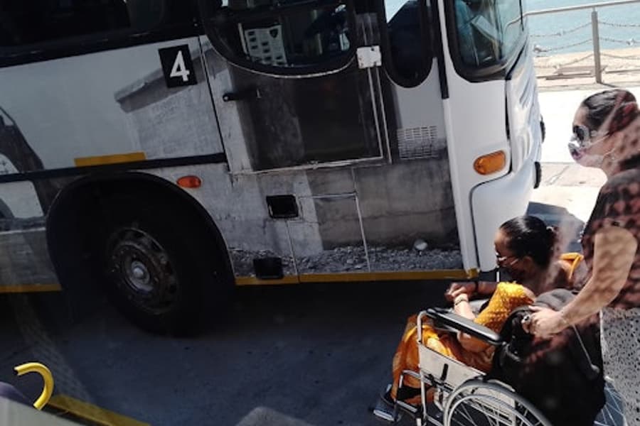 Tour Trọn Ngày Đảo Robben và Núi Bàn, Cape Town