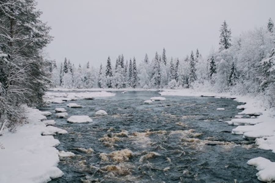 Hike in Vikakongas, Rovaniemi