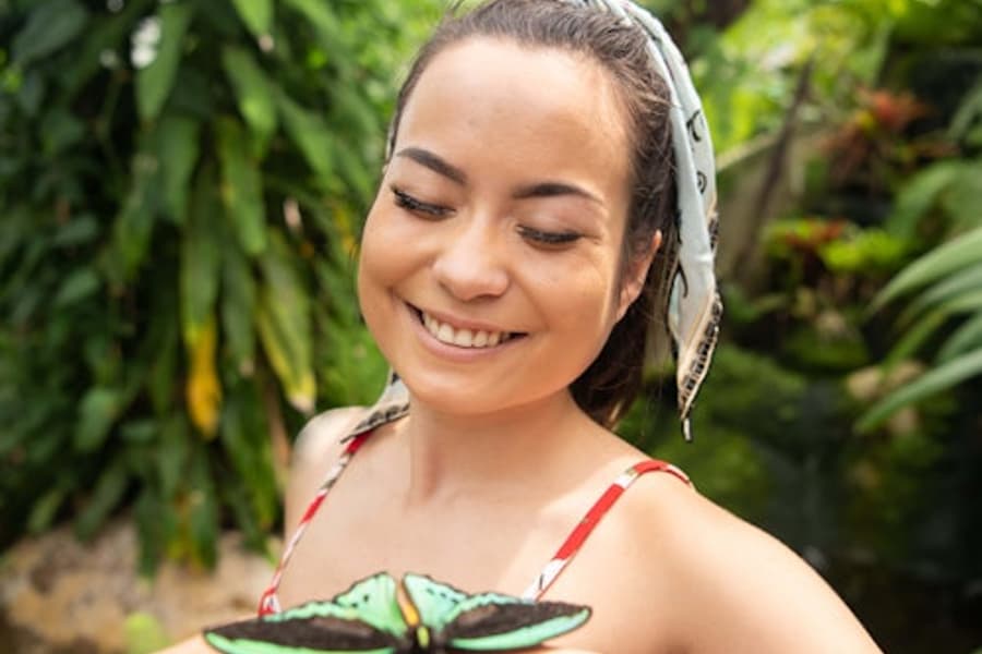 Australian Butterfly Sanctuary: Entry Ticket, Kuranda