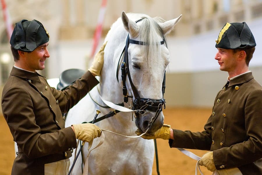 Visita guiada «Llegendes dels lipicans» a l'Escola Espanyola d'Equitació, at Spanish Riding School, Vienna