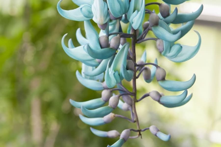 Сад Ботанический Лейден: Билет без очереди, at Hortus Botanicus Leiden, Leiden