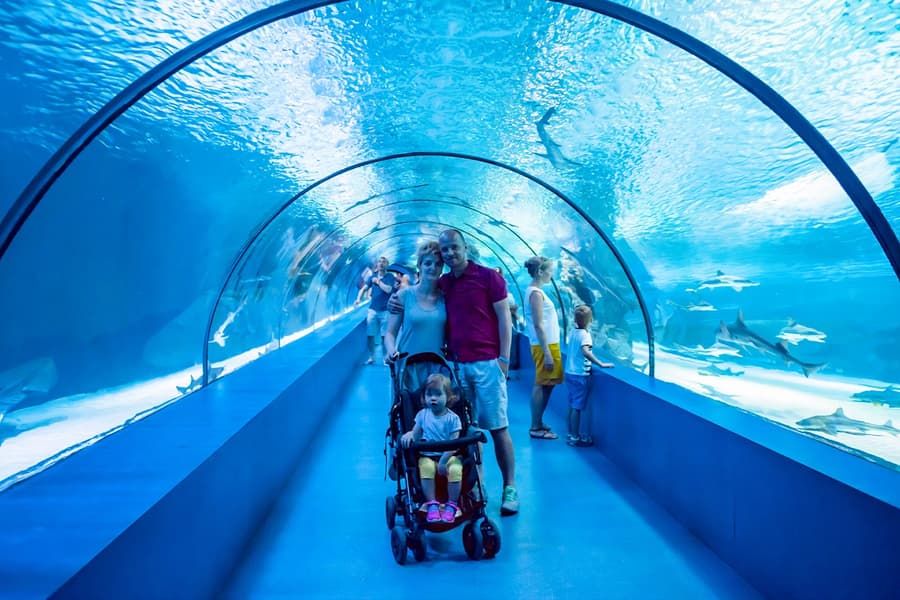 Barcelona Aquarium Skip-the-Line Tickets, Barcelona