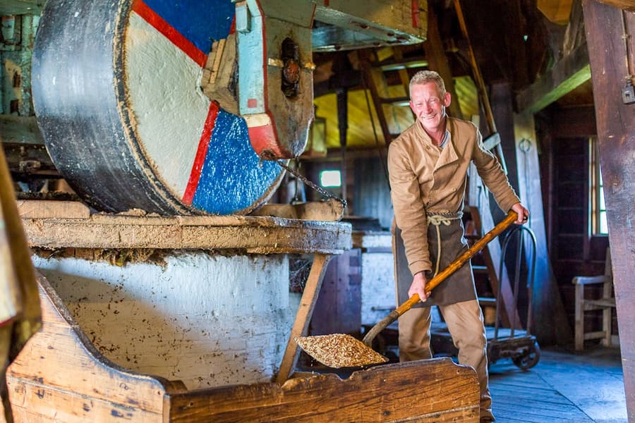 Des d'Amsterdam: Tour pels Molins de Vent de Zaanse Schans en castellà, Amsterdam