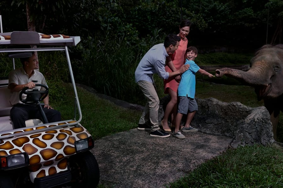 Singapore Night Safari: Entry Ticket + Roundtrip Transport, at Singapore Night Safari