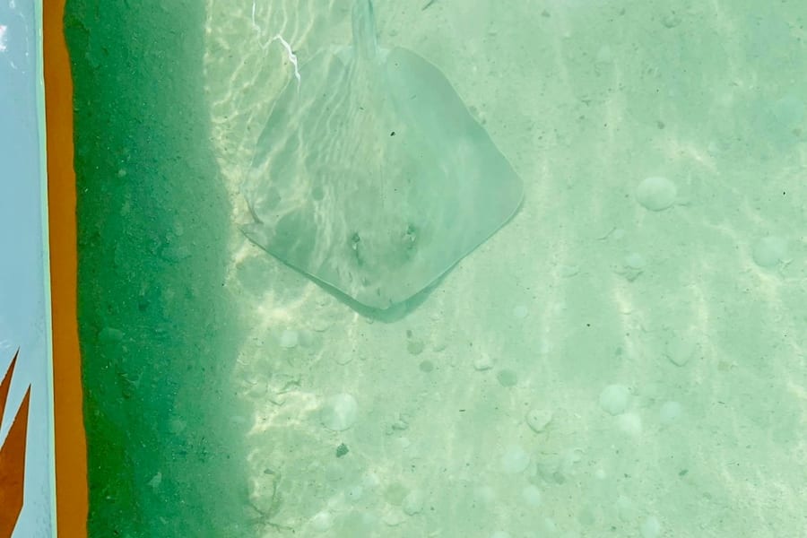 Private Snorkeling Charter, Key West