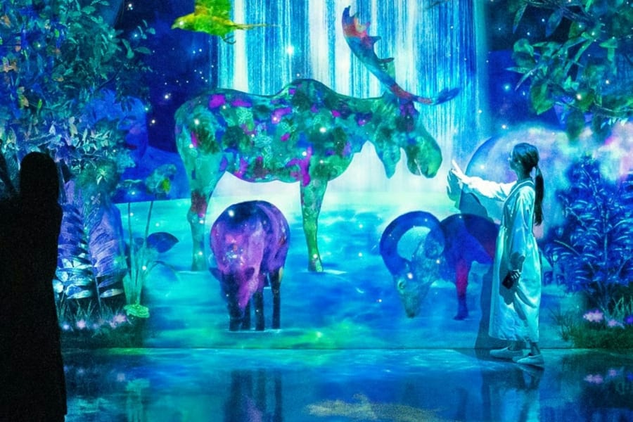 teamLab Forest Fukuoka: Entry Ticket, at teamLab Forest Fukuoka, Fukuoka-shi