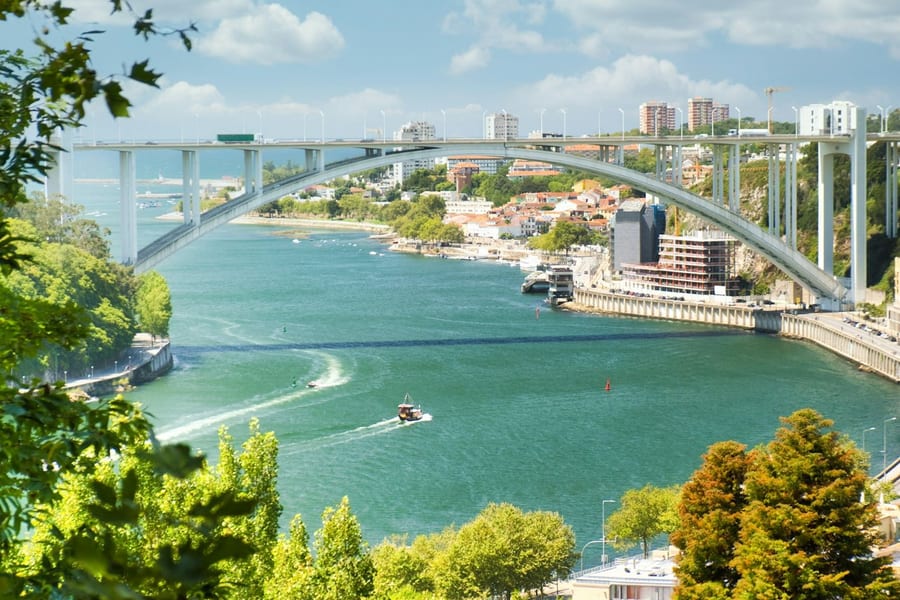 Douro River: Small-Group Walking Tour, at Porto City Tours