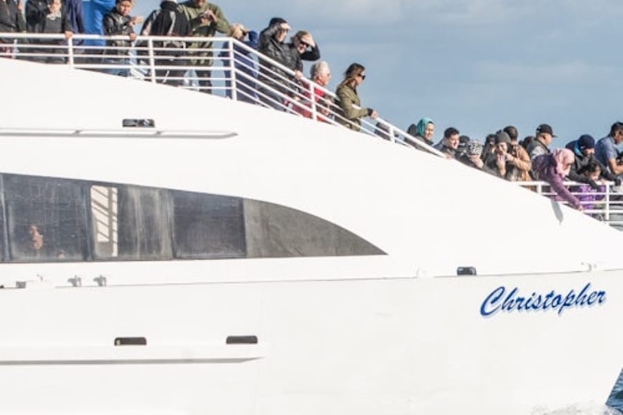 Long Beach: Crociera per l'osservazione delle balene e dei delfini, at Los Angeles Cruises, Los Angeles