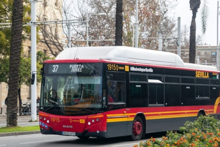 Sevilla: eenrichtingsvervoer van het stadscentrum naar de luchthaven, at Seville Airport Transfers, Seville