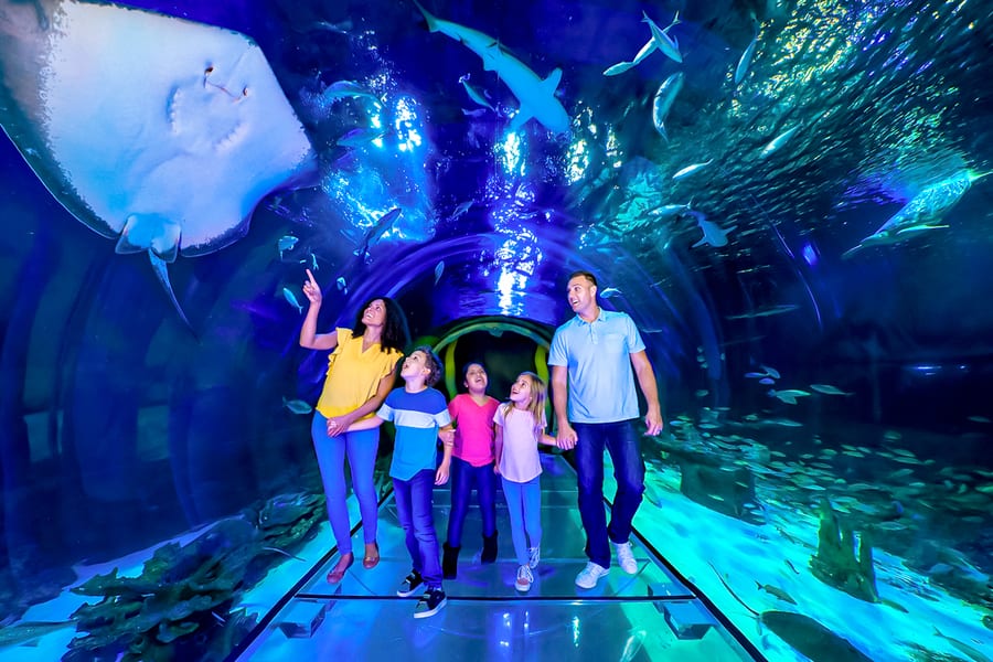 SEA LIFE Orlando Aquarium Admission Tickets, at SEA LIFE Orlando Aquarium, Orlando