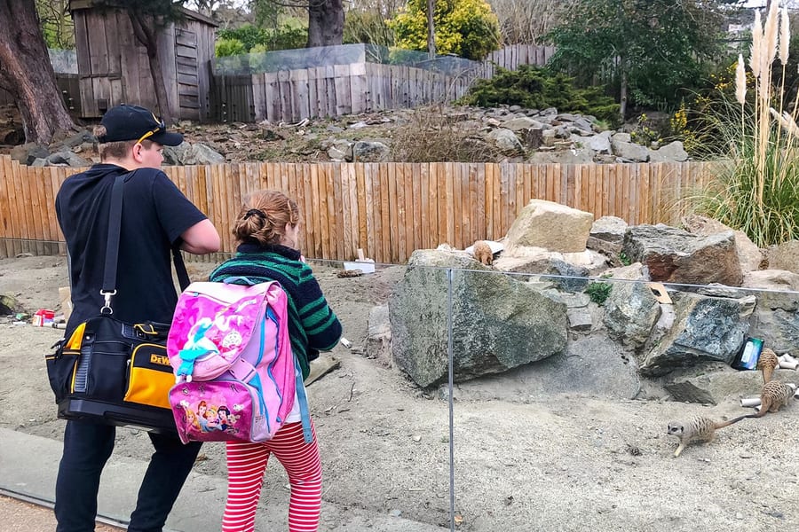 एडिनबर्ग चिड़ियाघर प्रवेश टिकट, at Edinburgh Zoo, Edinburgh