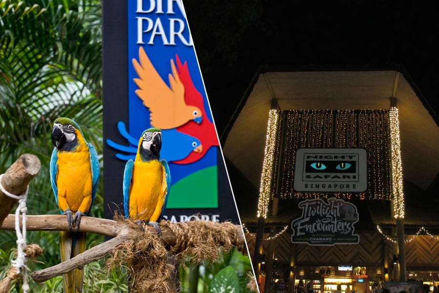2-Park Destination Pass: Night Safari + Bird Paradise, Singapore