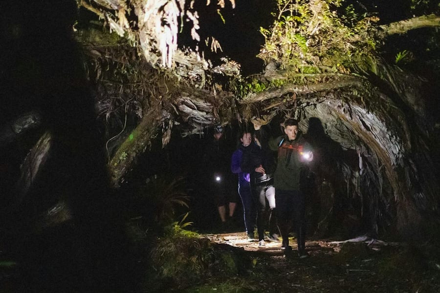 Stewart Island Wild Kiwi Encounter, Invercargill