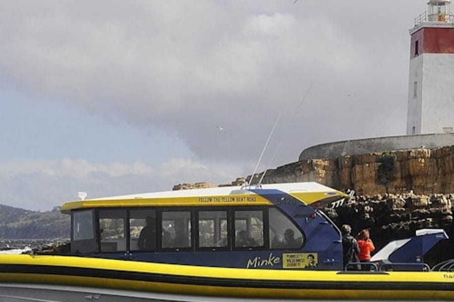 Hobart: Iron Pot Lighthouse Guided Cruise
