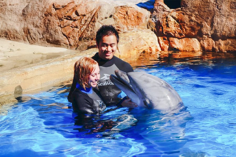 SeaWorld San Diego 2-Day Tickets, San Diego