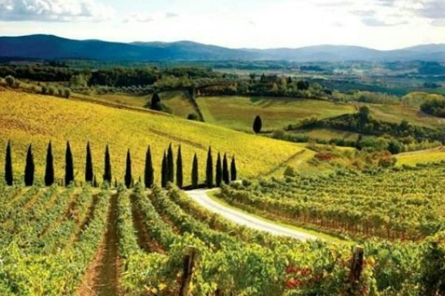 Chianti, Montalcino & San Gimignano: Wine Tasting + Day Trip from Siena, at Day Trips from Siena