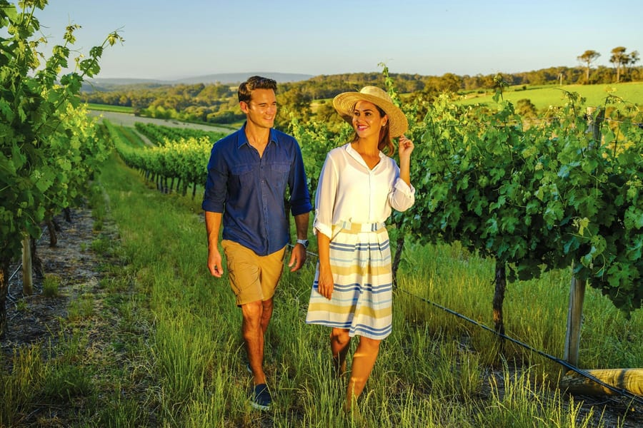 From Melbourne: Yarra Valley Small Group Tour with Chandon stop, Kangaroo Spotting at Sunset & Food Tasting, Melbourne