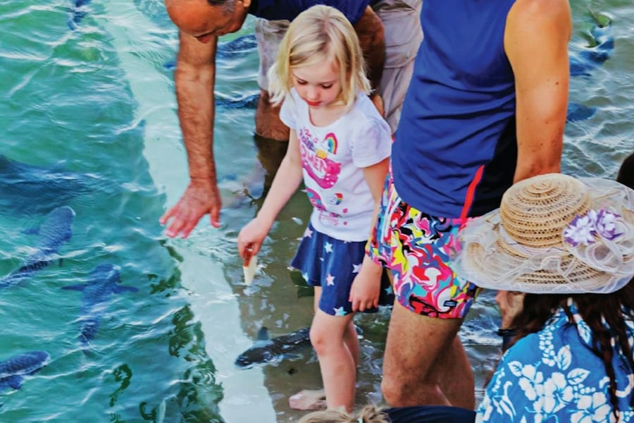 Darwin: Aquascene Fish Feeding Experience, at Aquascene Fish Feeding Sanctuary
