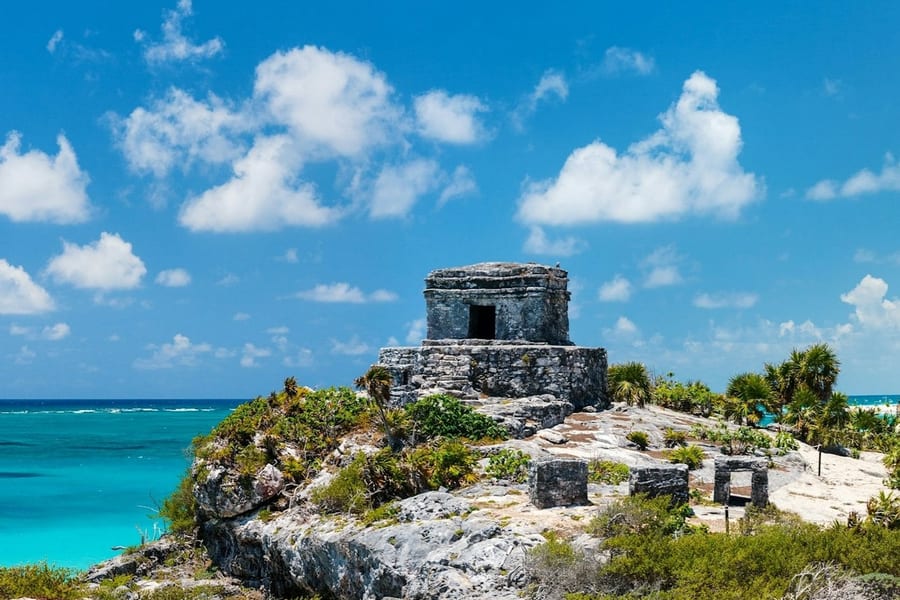 Tulum: Snorkeling with Turtles in Akumal + Mariposa Cenote + Lunch + Transfer, at Day Trips from Riviera Maya, Tulum