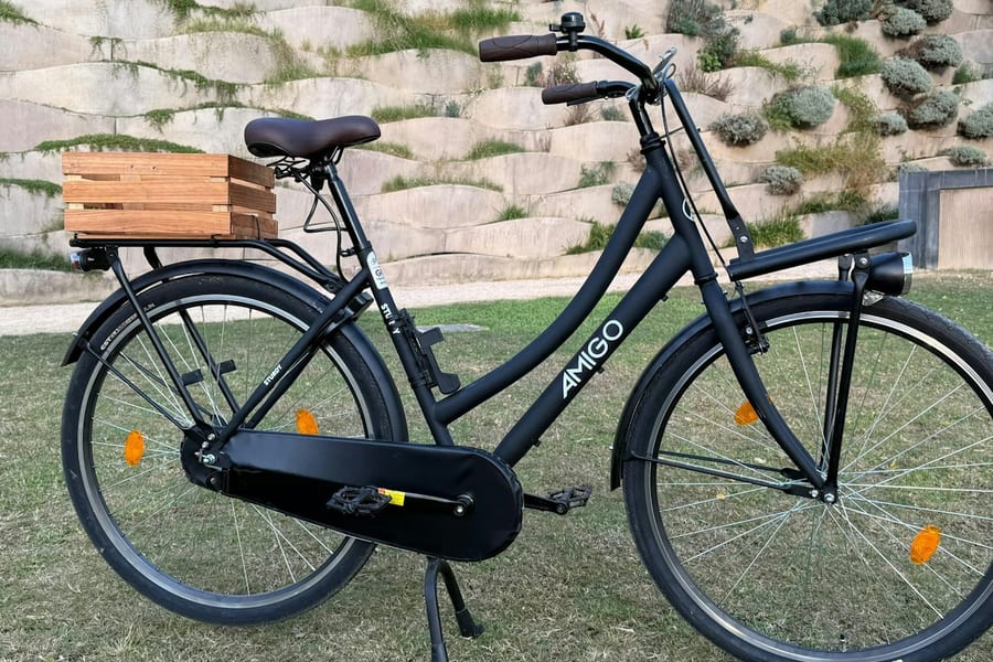 Valencia: Dutch-Style "Omafiets" City Bike Rental from Russafa Area, Valencia