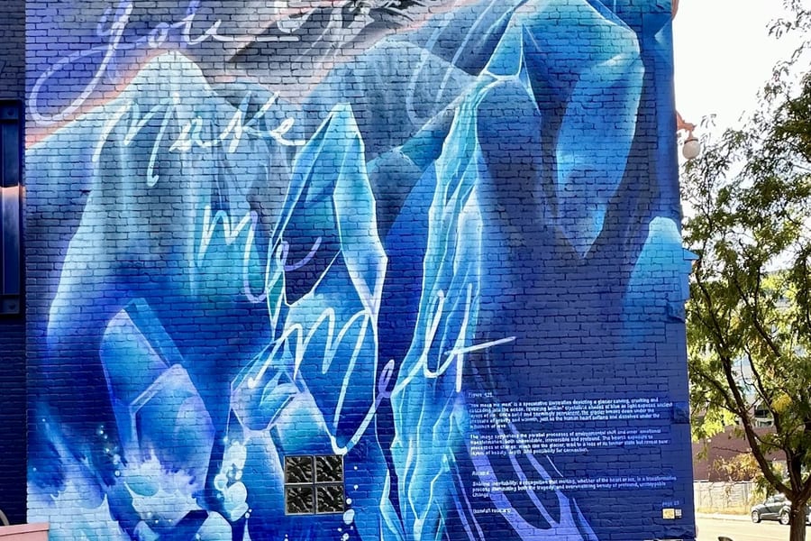 Denver: Guided Graffiti Tour of North RiNo, Denver