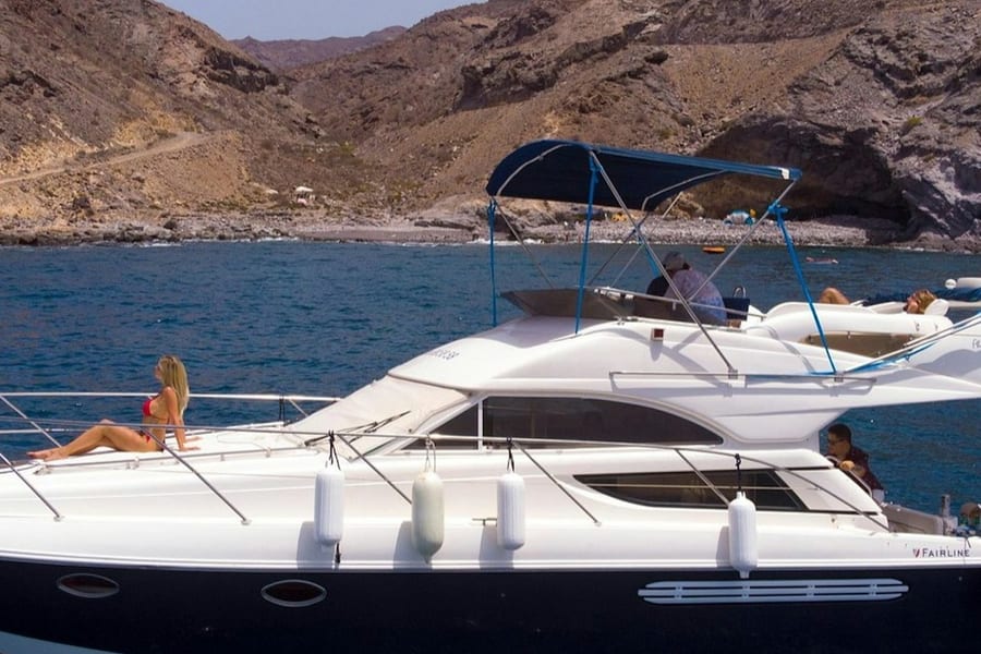 Puerto de Mogan: 4-Hr Dolphin Watching Tour by Keeper Uno, Las Palmas De Gran Canaria