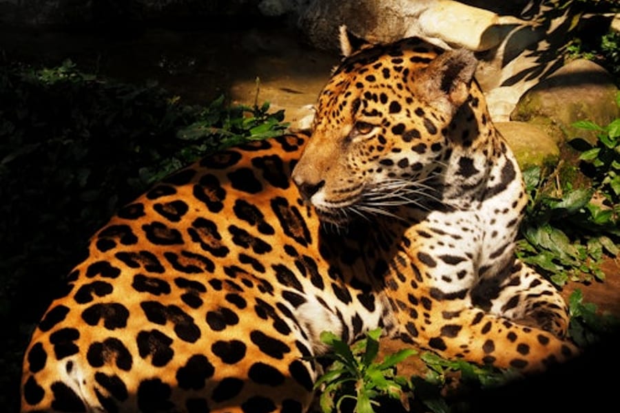 Parque de la Conservación Medellín: Boleto sin fila, at Parque de la Conservación Medellín, Medellin
