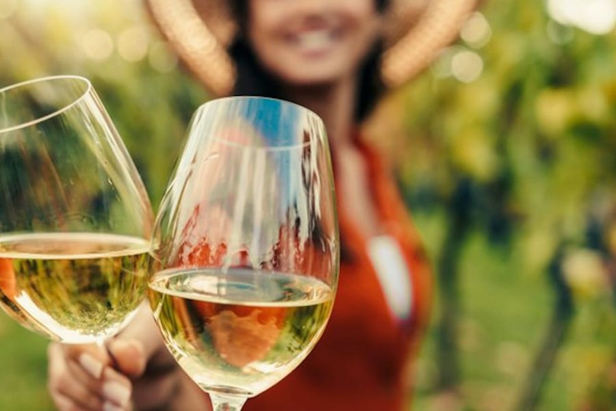 San Francisco Woods And Wine Tour, at Day Trips from San Francisco