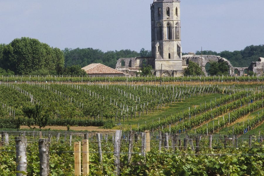 Abbaye de La Sauve-Majeure: Entry Ticket, La Sauve