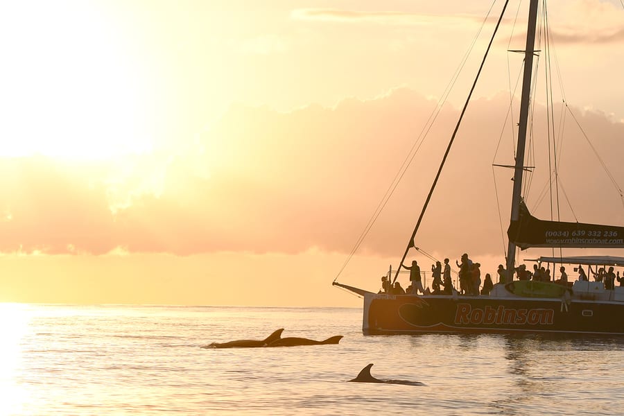 Mallorca Sunrise and Dolphin Watching Catamaran, Mallorca