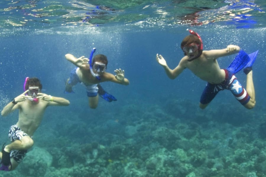 Kealakekua Bay and Captain Cook: Snorkeling Experience, Kailua-Kona