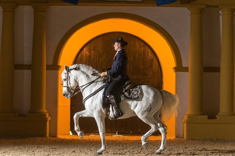 Royal Andalusian School of Equestrian Art: Full Visit + Optional VIP Upgrade, at Royal Andalusian School of Equestrian Art, Seville