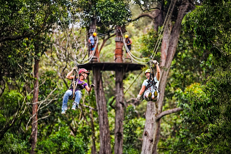 Big Island: Kohala Waterfalls and Canopy Zip & Dip Tour, Hawaii