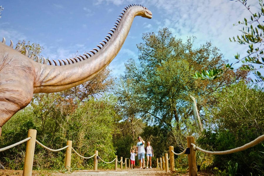From Alcúdia: Hams' Caves Half-Day Trip with Dinosaurland, Mallorca