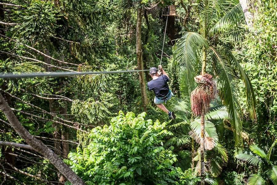 TreeTop Challenge at The Big Pineapple in Sunshine Coast, Woombye