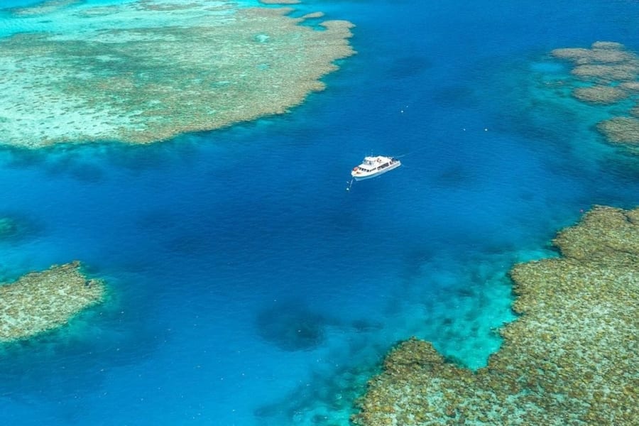 Great Barrier Reef & MOUA: Boat Tour + Snorkeling + Lunch, Townsville