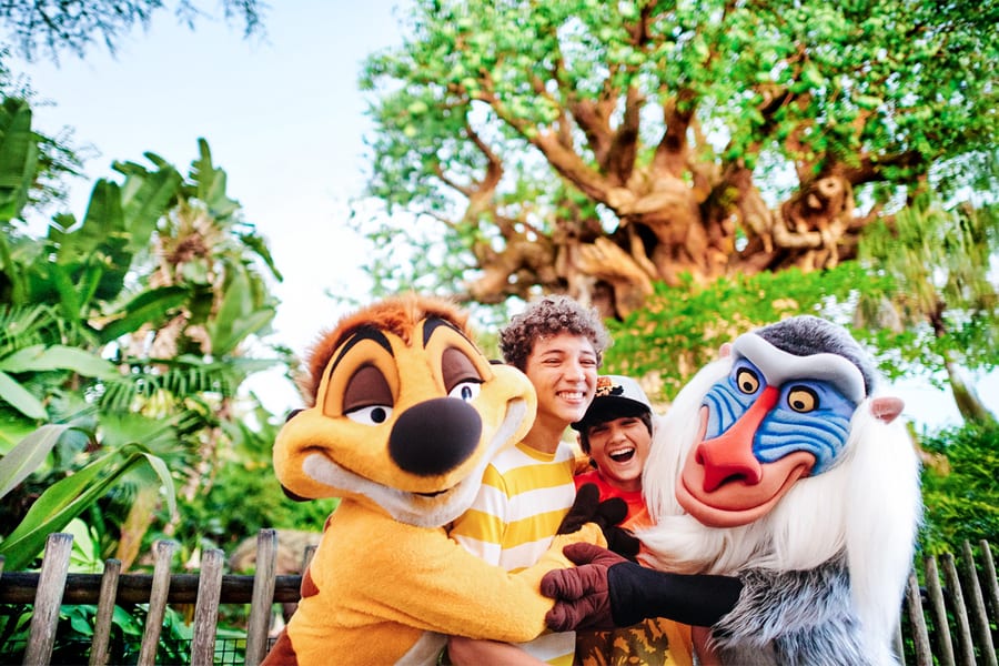 Walt Disney World Orlando Multi-Day Tickets (2-10 Days), Orlando