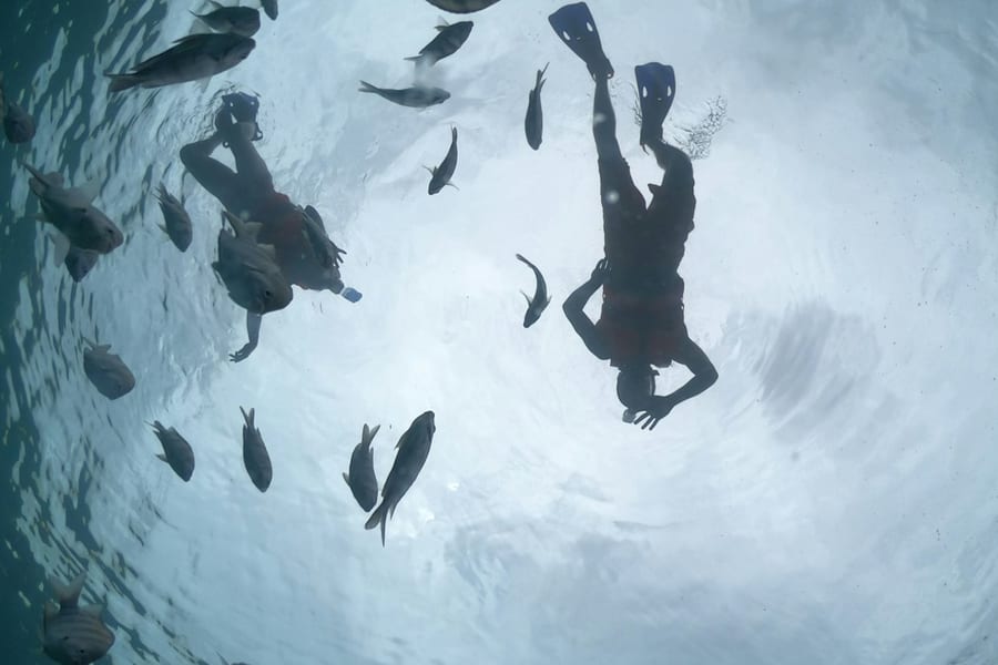 Cozumel: Glass Boat, Drinks and Snorkel Tour, at Cancún Boat and Water Activities