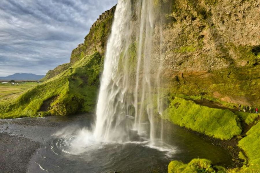 Vik, Skógafoss Waterfall & Black Sand South Iceland: Guided Tour + Transport, Reykjavik