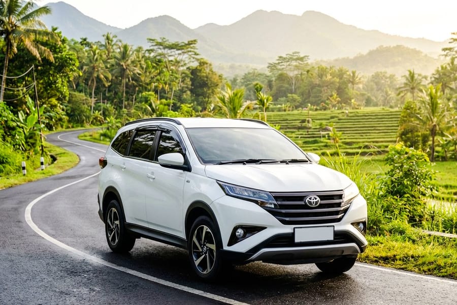 7 Seater Car (Upto 6 pax + 1 driver), Bali