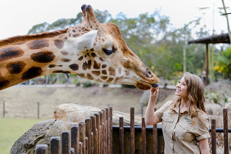 從布里斯本出發:澳大利亞動物園,穆魯拉巴海灘及衝浪俱樂部之旅,加午餐及飲品, Brisbane