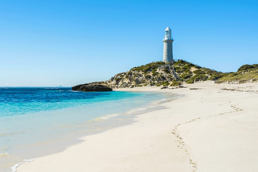 हिलरीज़ से: रोटनेस्ट द्वीप वापसी फ़ेरी, Perth