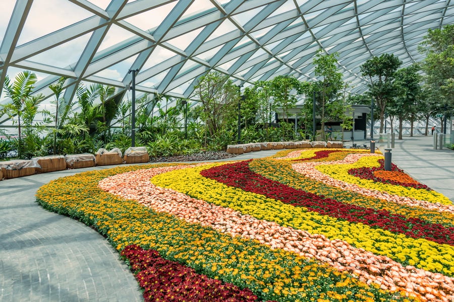 濱海藝漾樹林公園門票與迷宮, at Jewel Changi Airport, Singapore