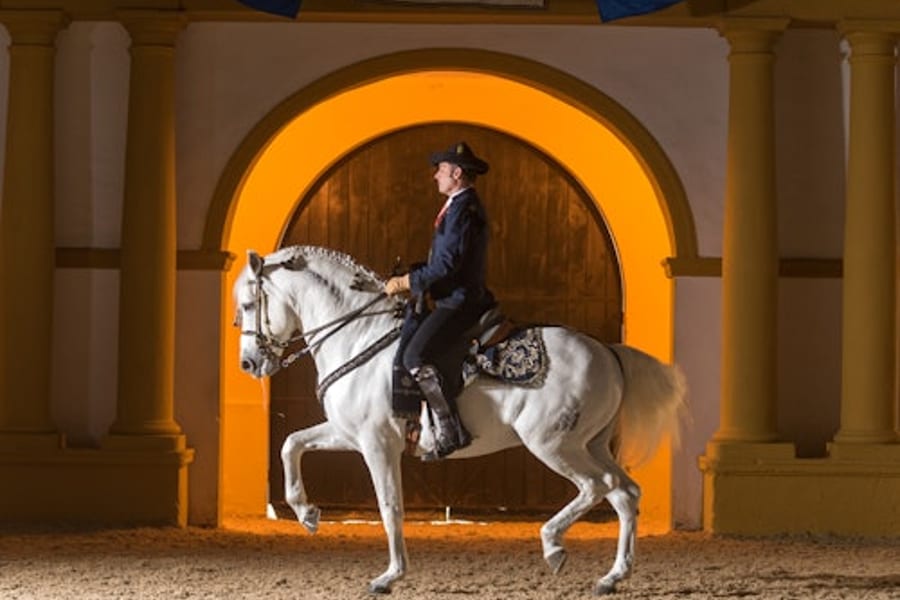 Royal Andalusian School of Equestrian Art: Full Visit + Optional VIP Upgrade, Jerez De La Frontera