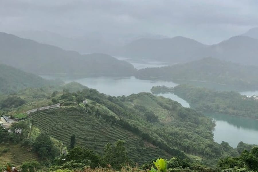 Pinglin Tea Culture & Maokong: Guided Day Tour from Taipei + Gondola Ride